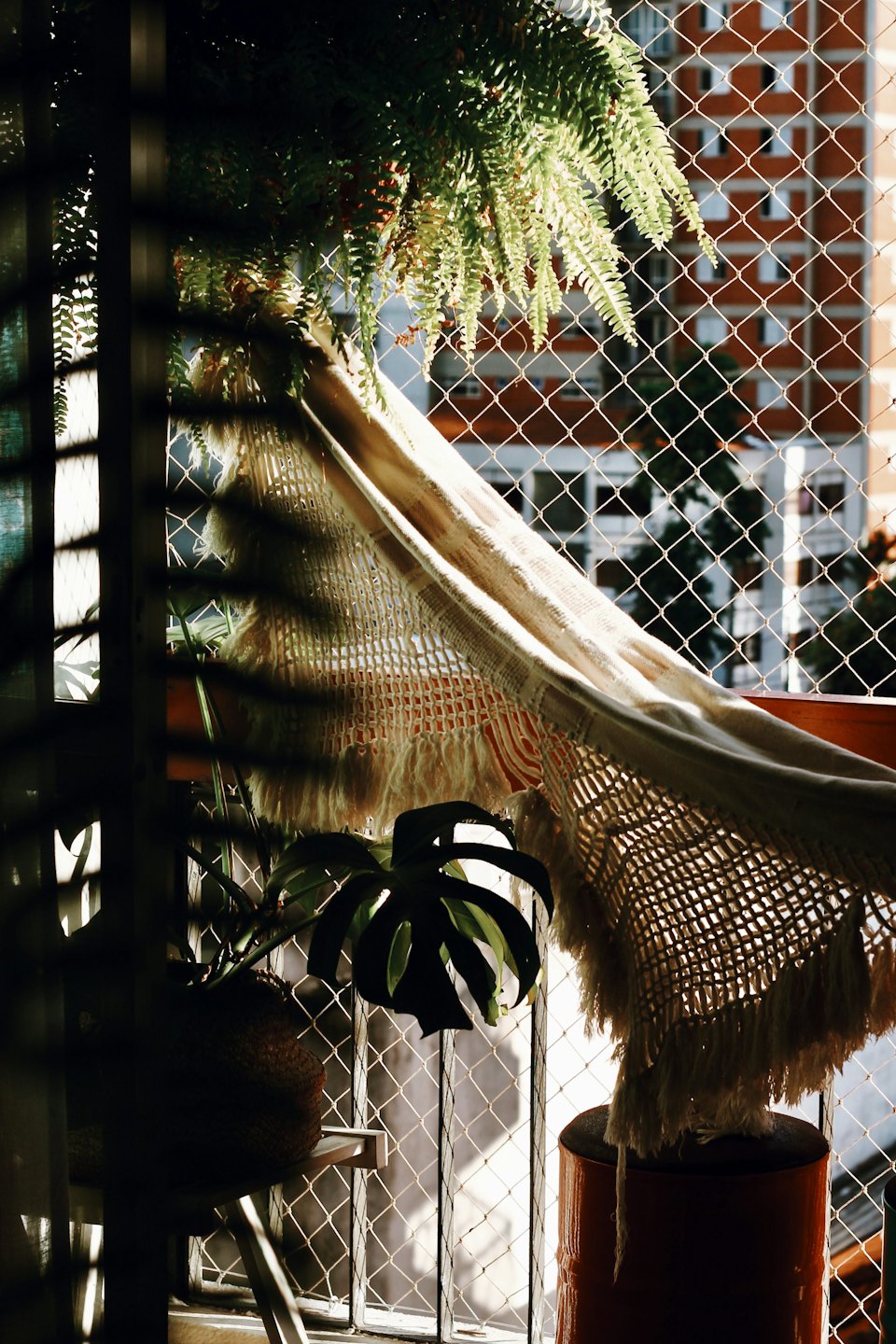 Hanging ferns and potted plants sit on a sunny balcony.